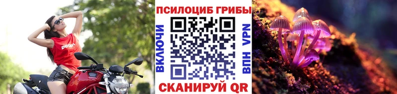 Галлюциногенные грибы мицелий  Купить закладки  Черемхово 